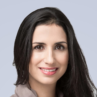 Anat Tal, Expert software interface Programmer for Hire.