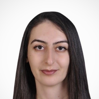 Merve Acar, Expert data mining Programmer for Hire.