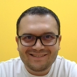 Naim Naimov, Freelance Gravity Forms Programmer for Hire.