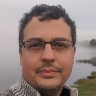 Lavi Yatziv, Senior Google Drive Programmer and Consultant.