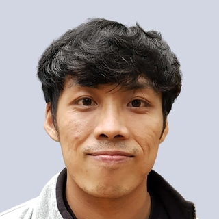 Hung Tran, Expert D3.js Programmer for Hire.