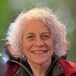Donna Penick, startup project management Project Management Freelancer.