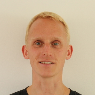 Daan Terra, WPF Coder.
