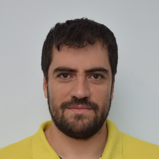 Hovhannes Kasarjyan, Senior PyQt Programmer and Consultant.