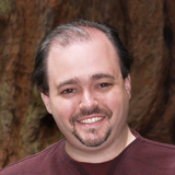 Shawn Rucker, Accomplished IT consulting Freelancer.