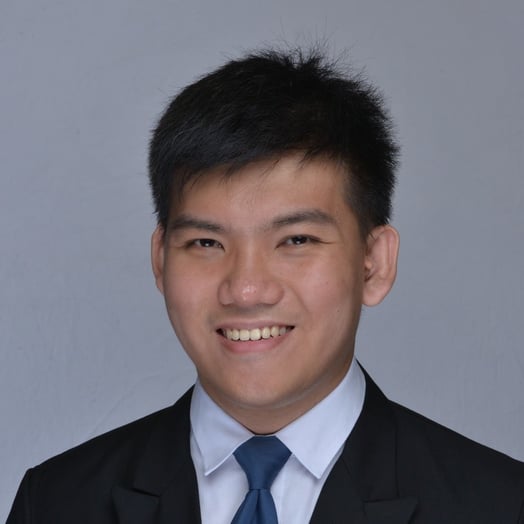 Ernest Ng Aik Hau, Developer in Singapore, Singapore