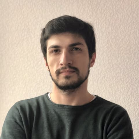 Deo Gochava, Developer in Tbilisi, Georgia