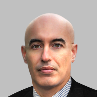 Carlo Palmieri, Independent investment banking Expert.