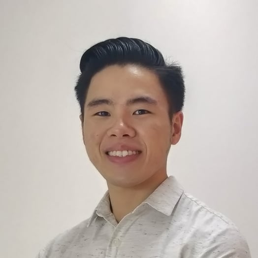 Ricardo Raphael Joson, Developer in Manila, NCR, Philippines