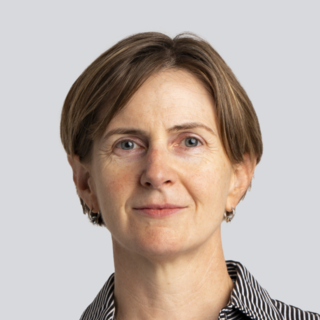 Lir Cowman, Freelance web Project Management Consultant.