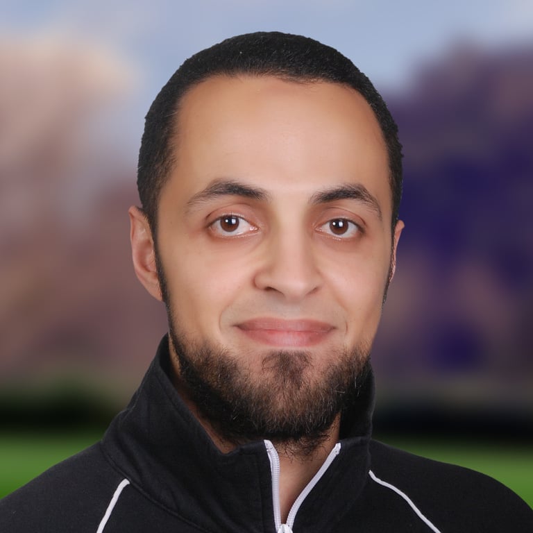Osama AbdelKarim AboulHassan