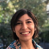 Roxana Ibanez, Accomplished data warehouse Freelancer.