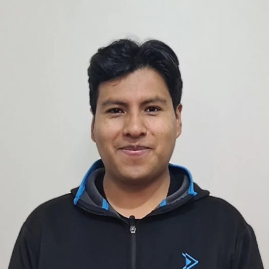 Dennis Ruiz, Developer in La Paz, La Paz Department, Bolivia
