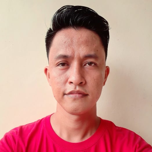 Alvin Meroy, Developer in Kananga, Eastern Visayas, Philippines