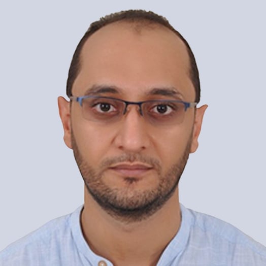 Ahmed Salah El-Afifi, Developer in Cairo, Cairo Governorate, Egypt