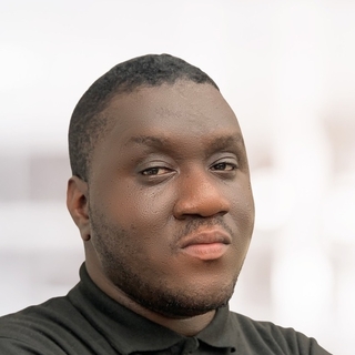 Henry Eguakun, Accomplished Website Redesign Consulting Designer.