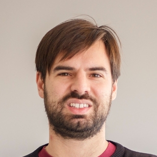 Luca Puggini, Senior product Programmer and Consultant.