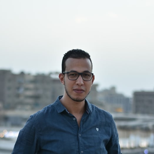 Muhammad Othman, Developer in Port Said, Port Fouad, Port Said Governorate, Egypt