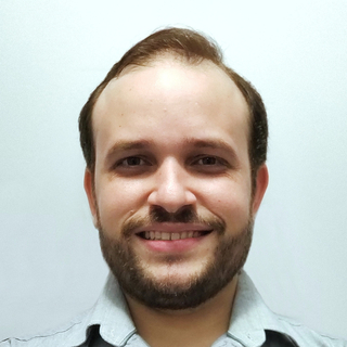 Felipe Costa Farias, Senior neural network Programmer and Consultant.