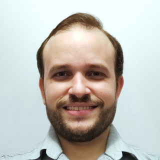 Felipe Costa Farias, Senior neural network Programmer and Consultant.