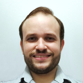 Felipe Costa Farias, Senior neural network Programmer and Consultant.
