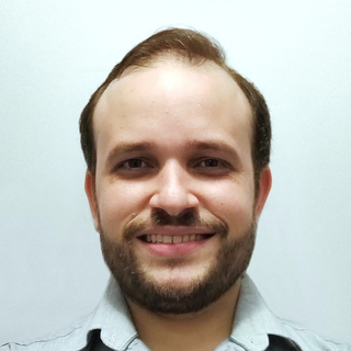 Felipe Costa Farias, Senior neural network Programmer and Consultant.
