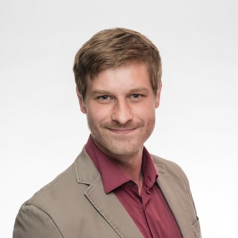 Karl Steinzer, Developer in Horitschon, Austria