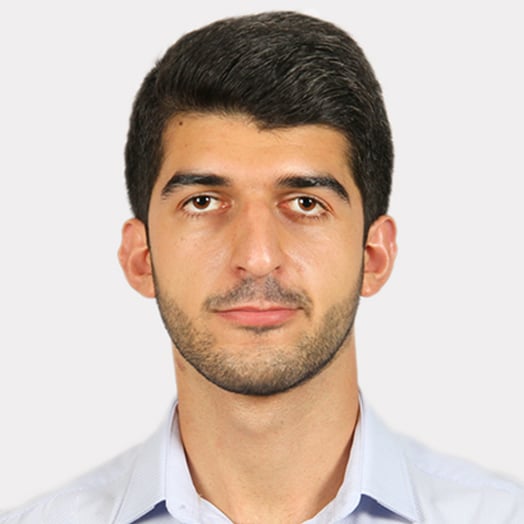 Vahagn Altunyan, Developer in Yerevan, Armenia