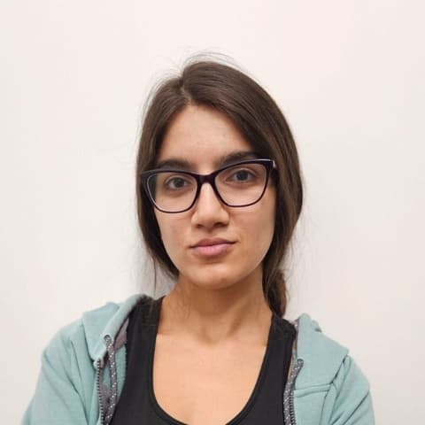 Nane Hambardzumyan, Developer in Yerevan, Armenia