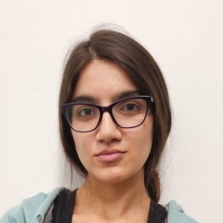 Nane Hambardzumyan, Expert MCP Programmer for Hire.