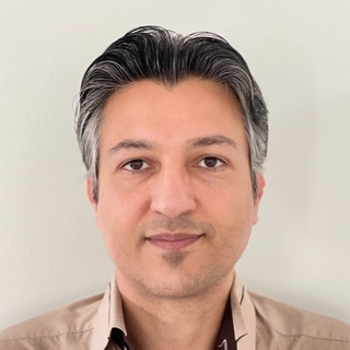 Ali Alizadeh, Toptal plaid API Developer.