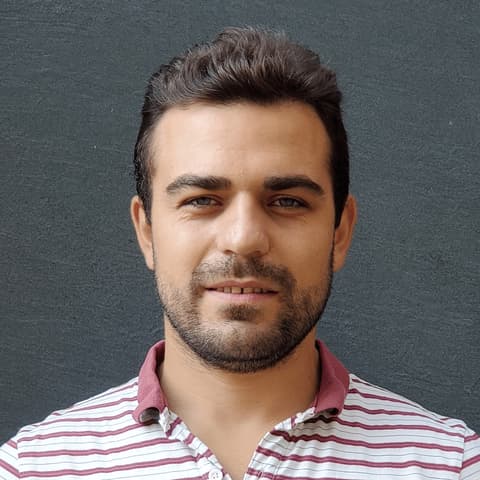 Anzor Gozalishvili, Developer in Tbilisi, Georgia