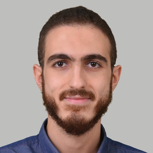 Ahmed El-Atab, Developer in Sidon, South Governorate, Lebanon