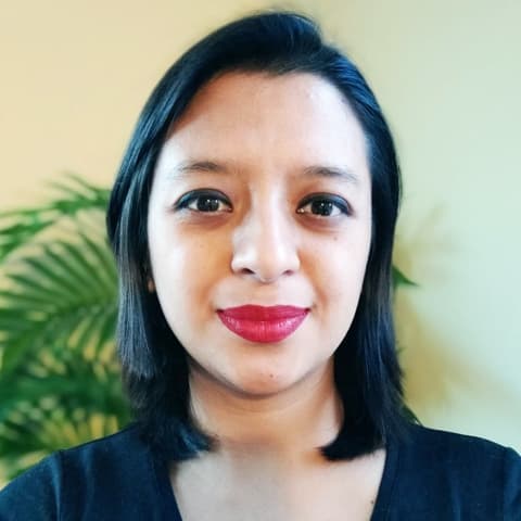 Bonny Pradhan, Developer in Edina, MN, United States