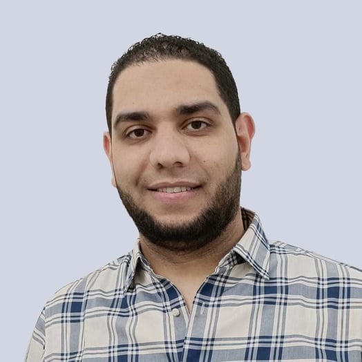 Aly Ragab, Developer in Dubai, United Arab Emirates