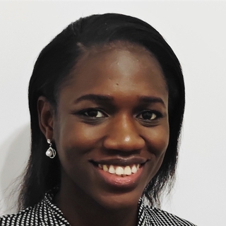 Temitope Otokiti, Senior PowerApps Programmer and Consultant.