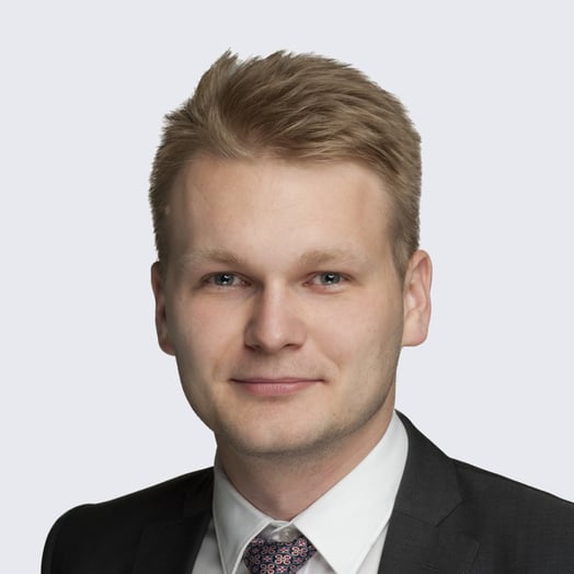 Viktoras Juozapaitis, Finance Expert in Vilnius, Vilnius County, Lithuania