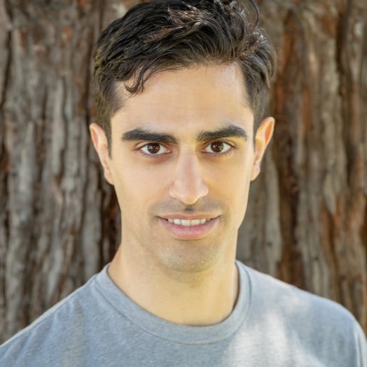 Aram Ebtekar, Developer in Vancouver, BC, Canada