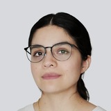 Liz Stynchcomb, Accomplished Web Designer.