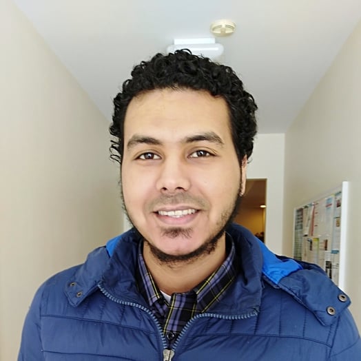 Abdelrady Tantawy, Developer in Fairfield, IA, United States