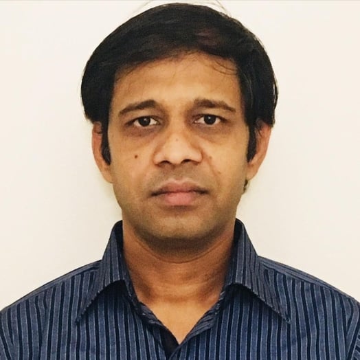 Srinivasa Rao Gona, Developer in McLean, VA, United States