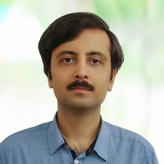 Ajay Singh, Developer in New York, NY, United States