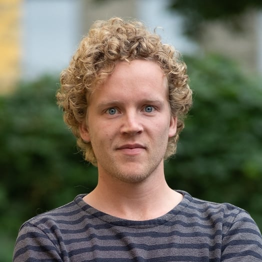 Ivo Lindsen, Developer in Vordingborg, Denmark