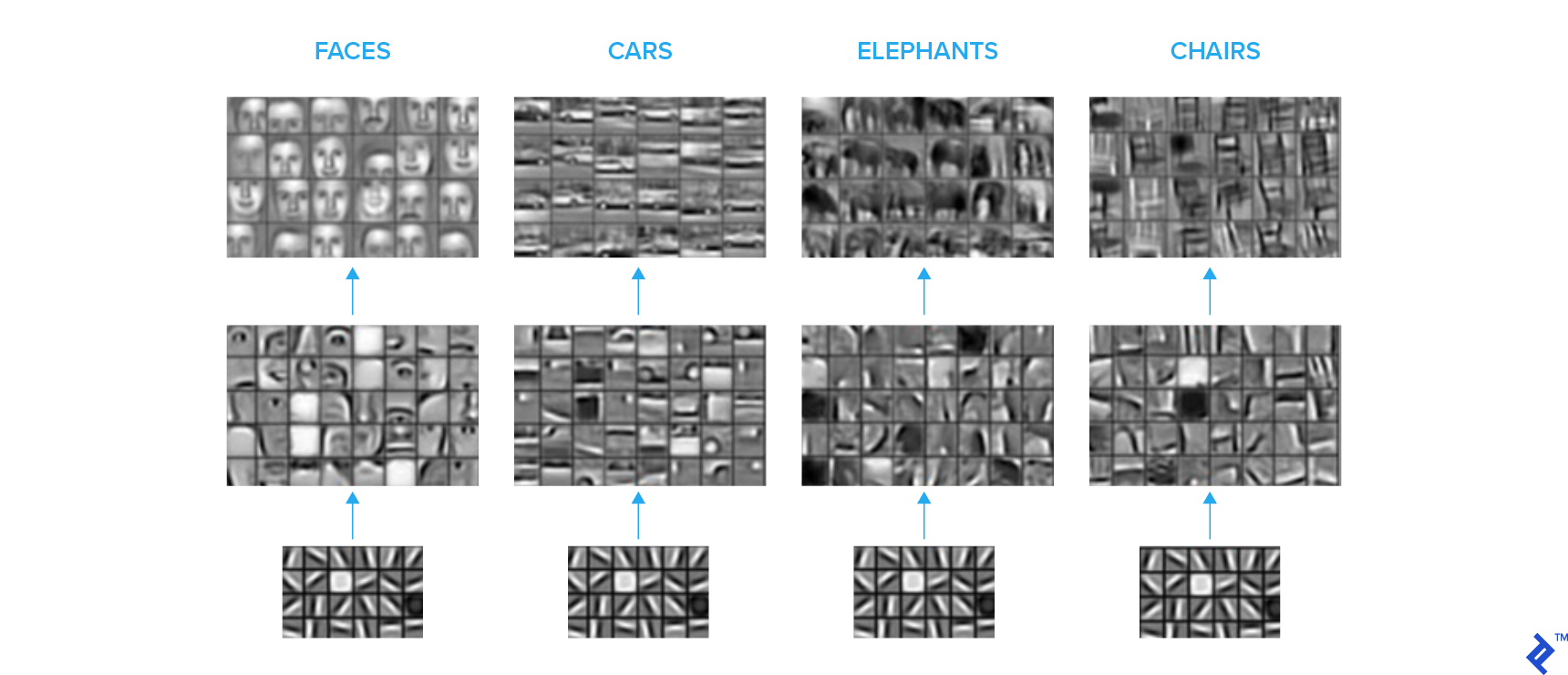 Hierarchical representation: initial layers and higher layers
