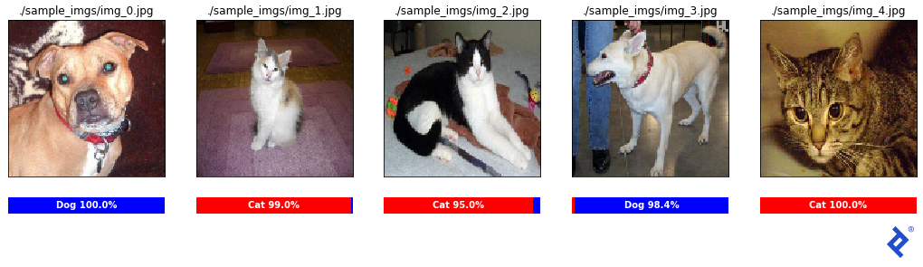 Five sample images, each of a dog or a cat, with a corresponding classification and confidence level. Confidence levels shown range from 95 percent to 100 percent.