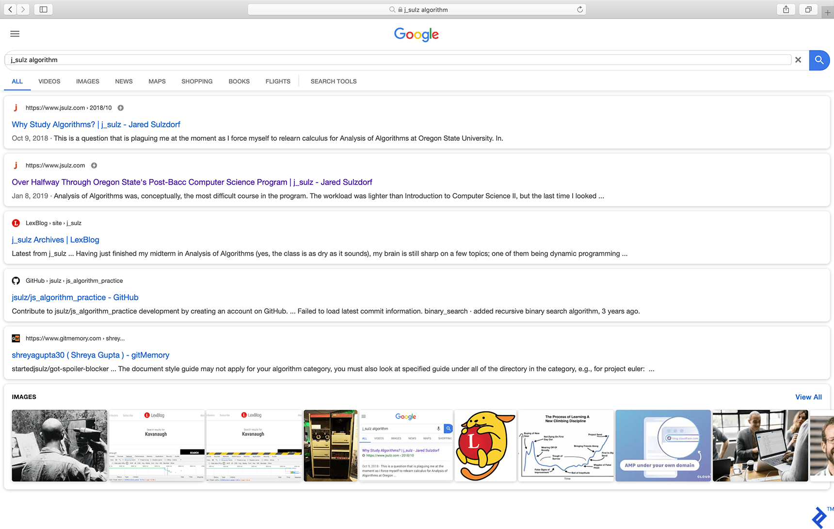 A Google search result showing the AMP-ready icon, a gray disc with a lightning bolt on it.