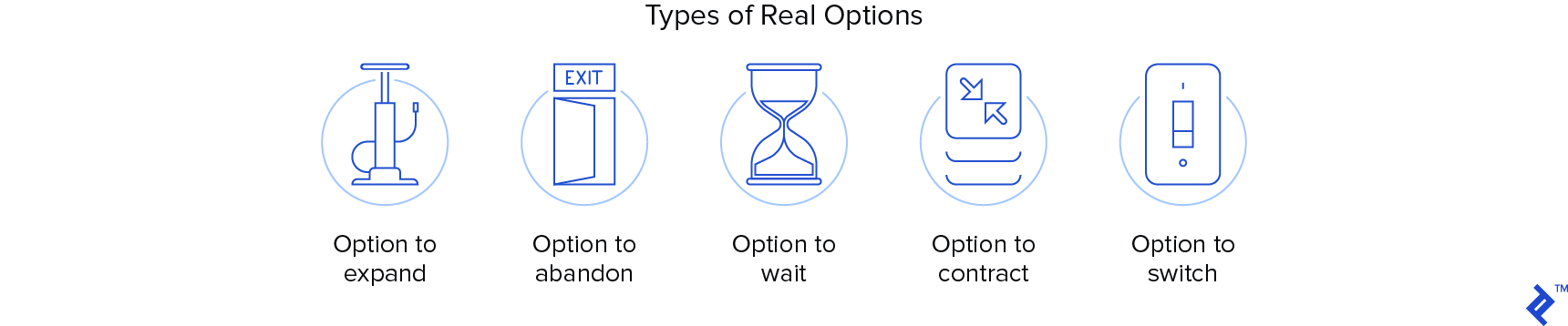 Types of real options