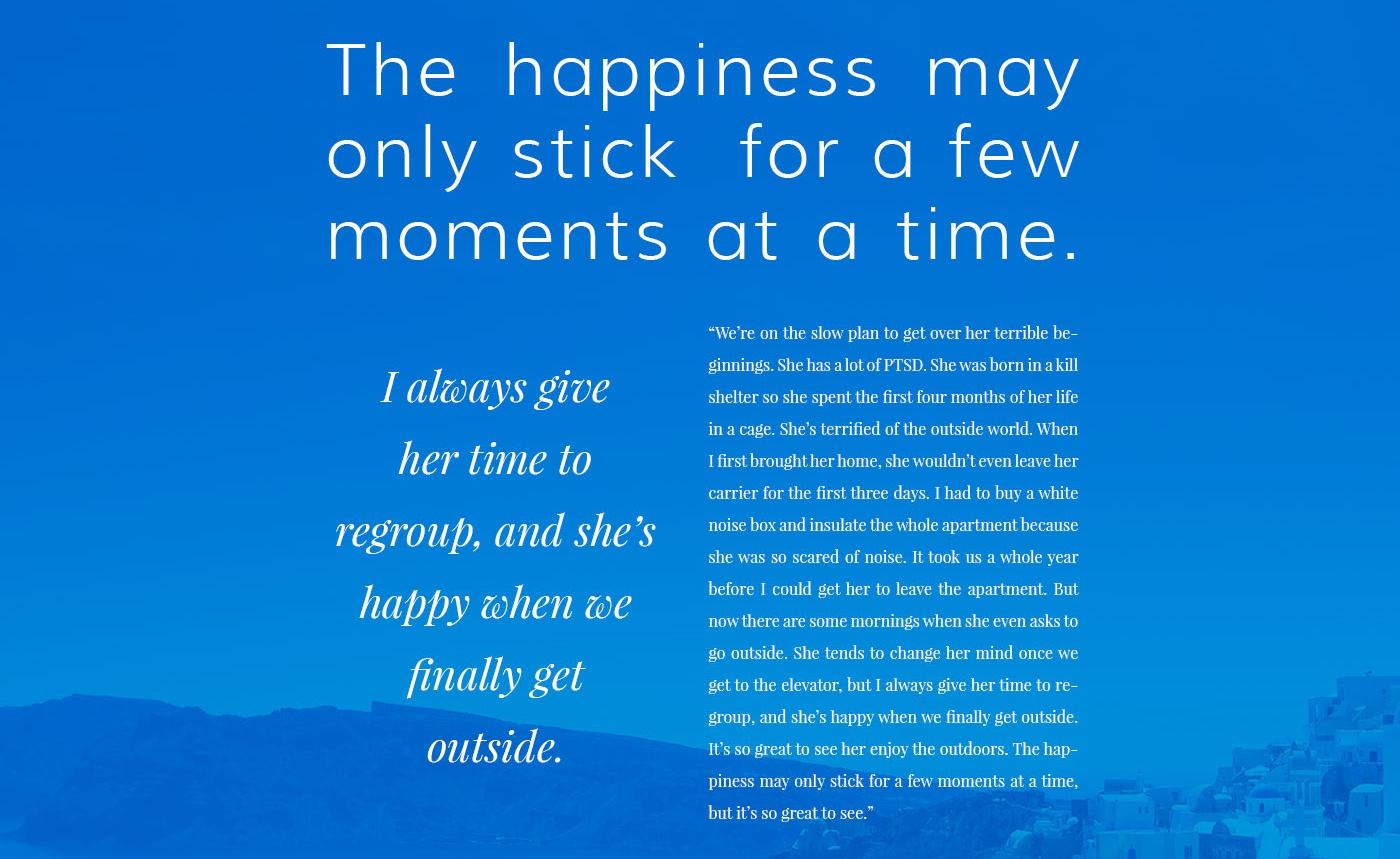 Font combinations don
