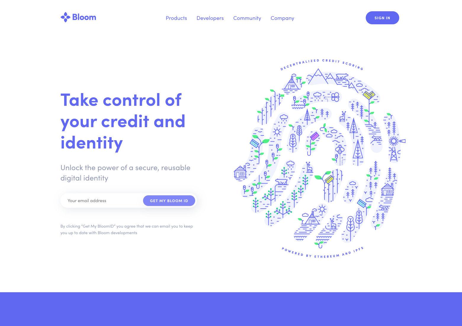 Basic website layout: split screen