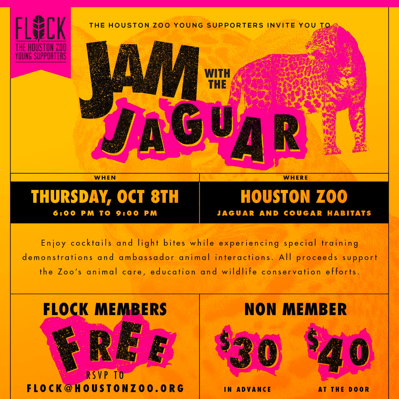 Email design trends: bold colors